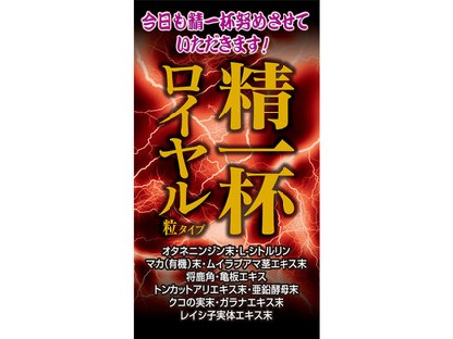 MKCUSTOMER ����t���C���� ���^�C�v 240�� [�}�c���g�L���VPB] �̐��i�摜