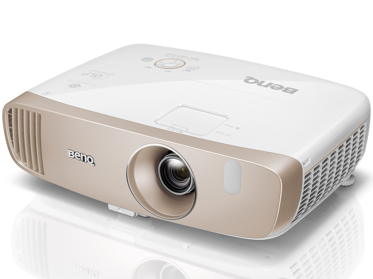 HT3050 [�p�[���z���C�g×�S�[���h]