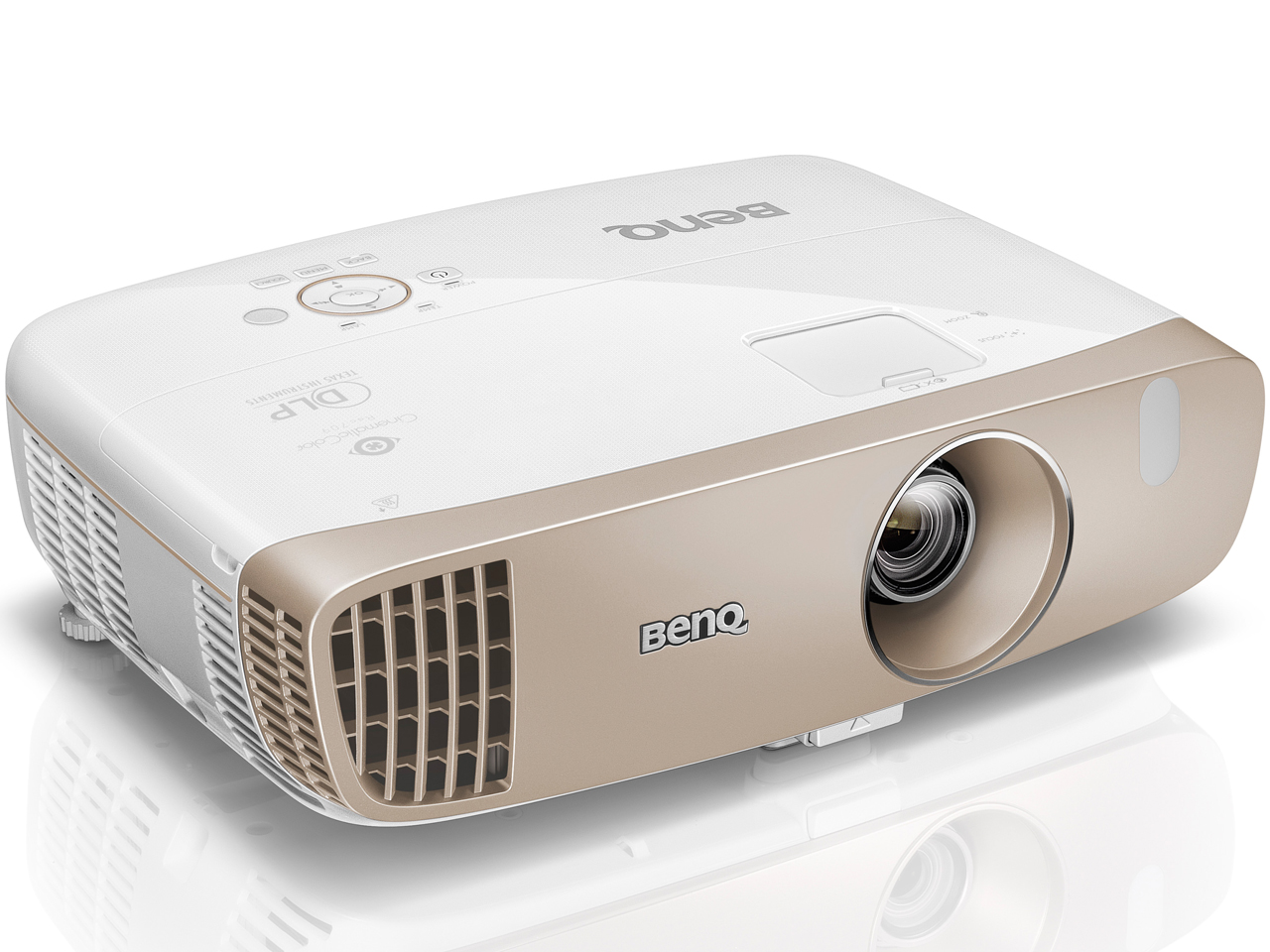 HT3050 [�p�[���z���C�g×�S�[���h]