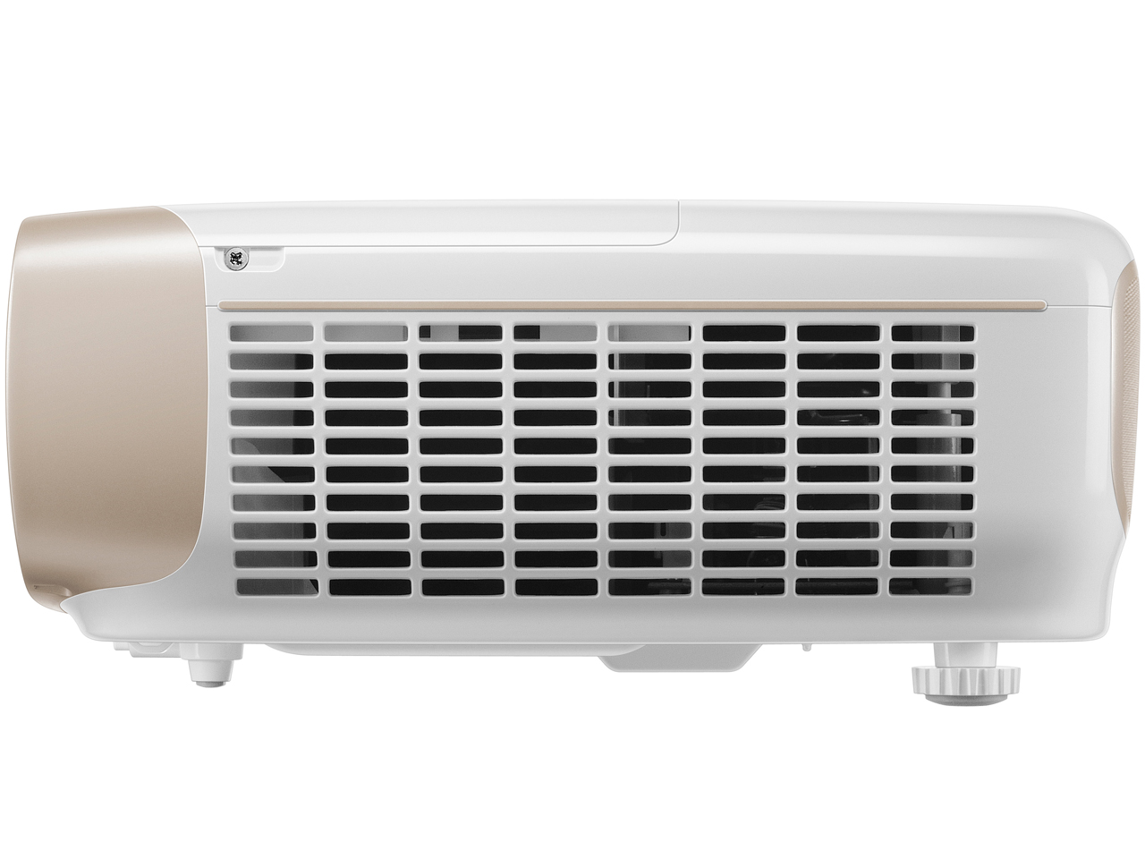 HT3050 [�p�[���z���C�g×�S�[���h]