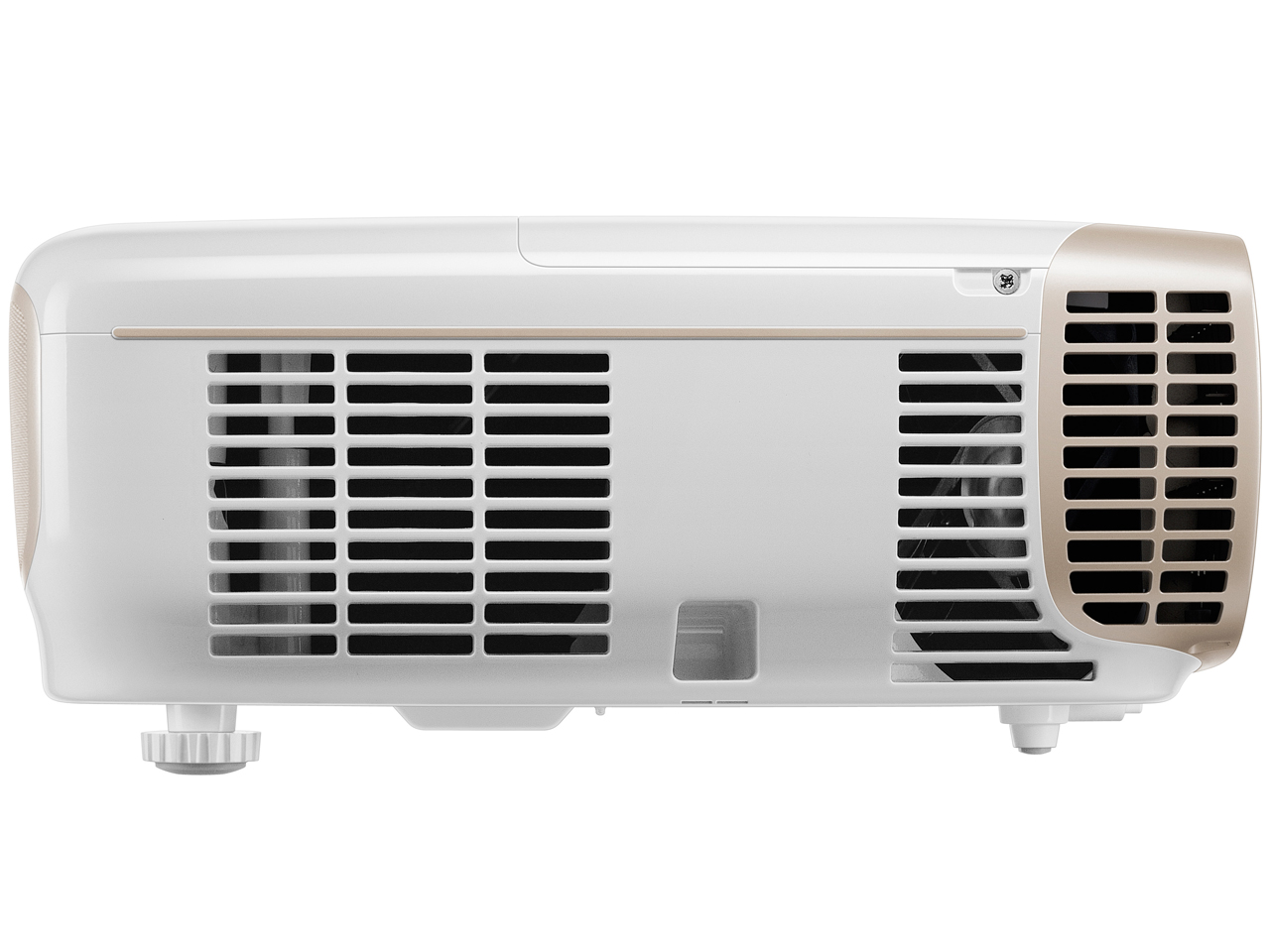 HT3050 [�p�[���z���C�g×�S�[���h]