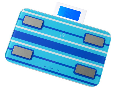 �G�����`�[�t MT-105STRIPE BL [�X�g���C�v�u���[]