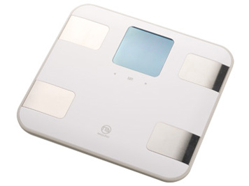 �x���b�V�F�� MT-103WHGY [�z���C�g�O���[]