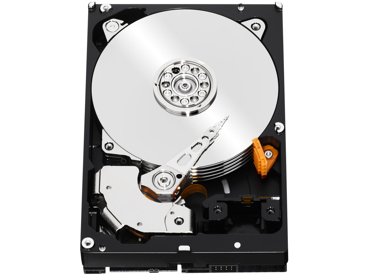 WD1001FYYG [1TB 7200 SAS2.0]