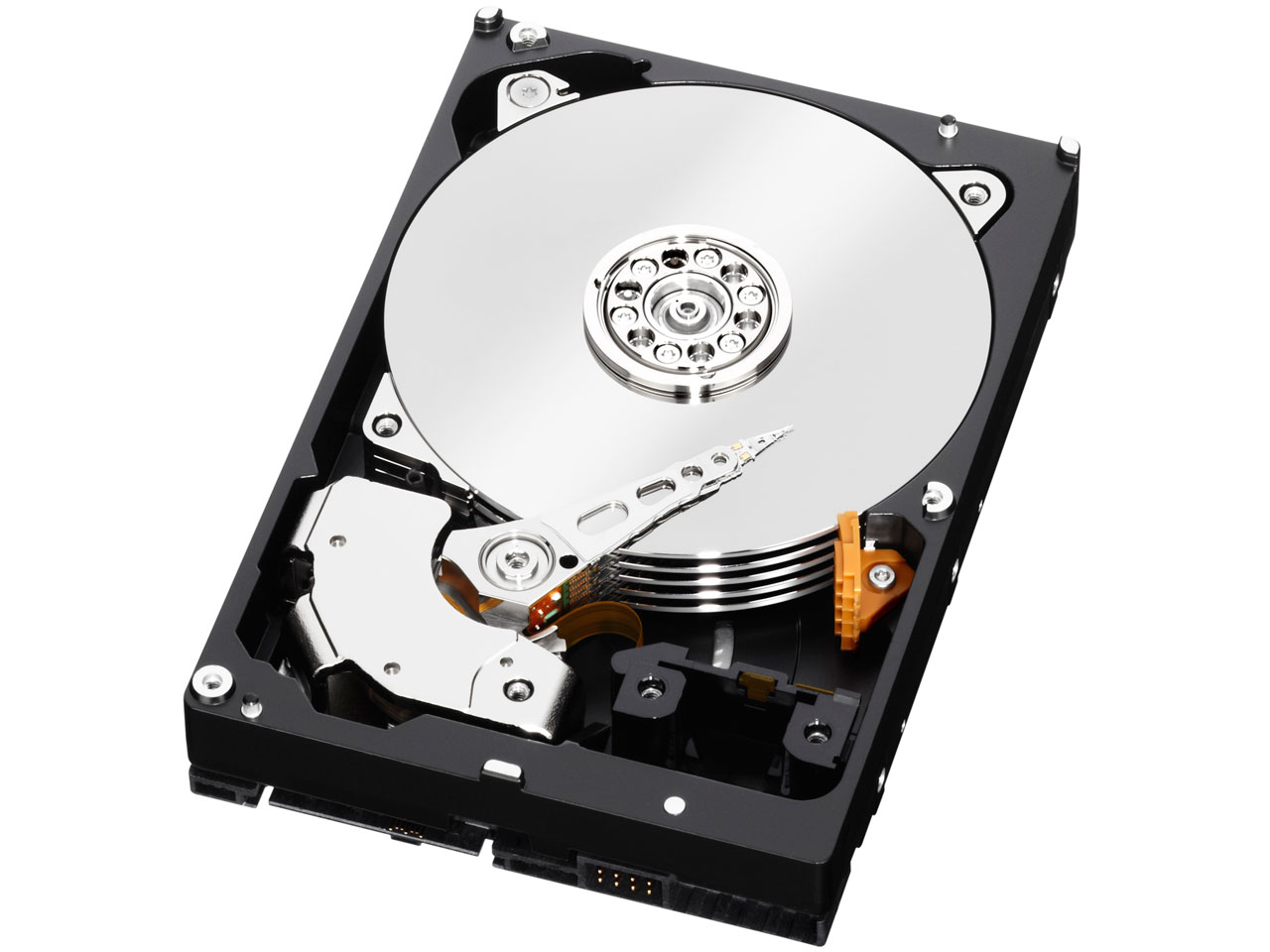 WD1001FYYG [1TB 7200 SAS2.0]