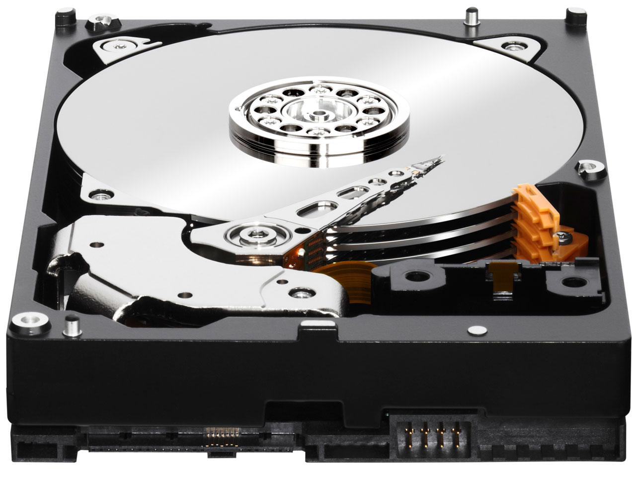 WD1001FYYG [1TB 7200 SAS2.0]