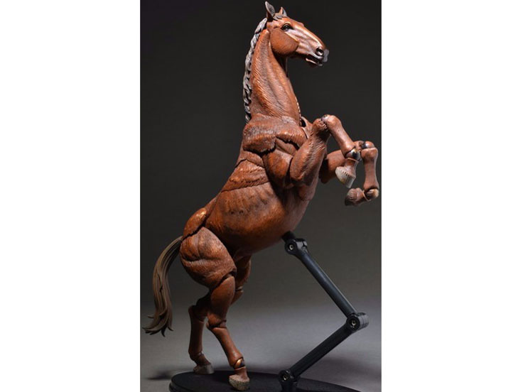 KT-008 �^�P�������ݒu�� �n ����