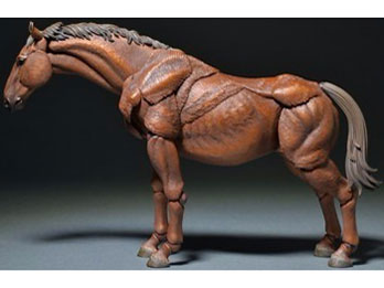 KT-008 �^�P�������ݒu�� �n ����