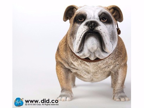 �A�j�}���V���[�Y British Bulldog