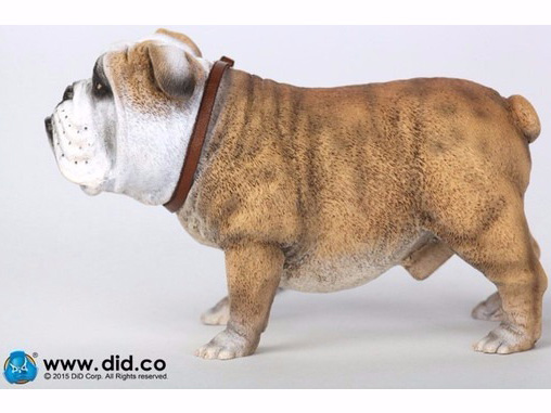 �A�j�}���V���[�Y British Bulldog