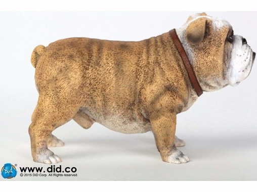 �A�j�}���V���[�Y British Bulldog