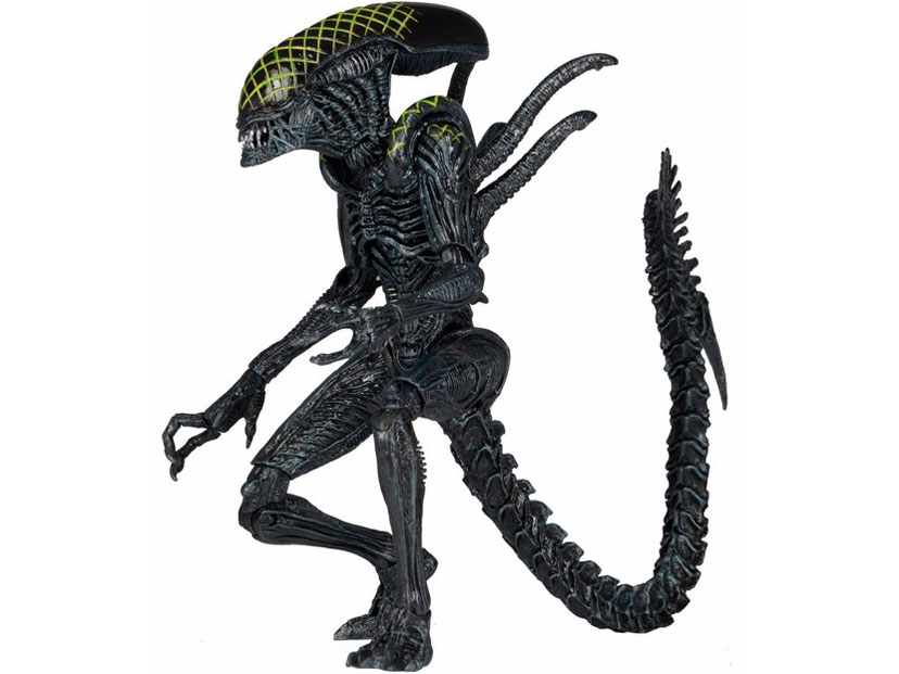 �G�C���A�� 7�C���`�A�N�V�����t�B�M���A �V���[�Y7 3��Z�b�g