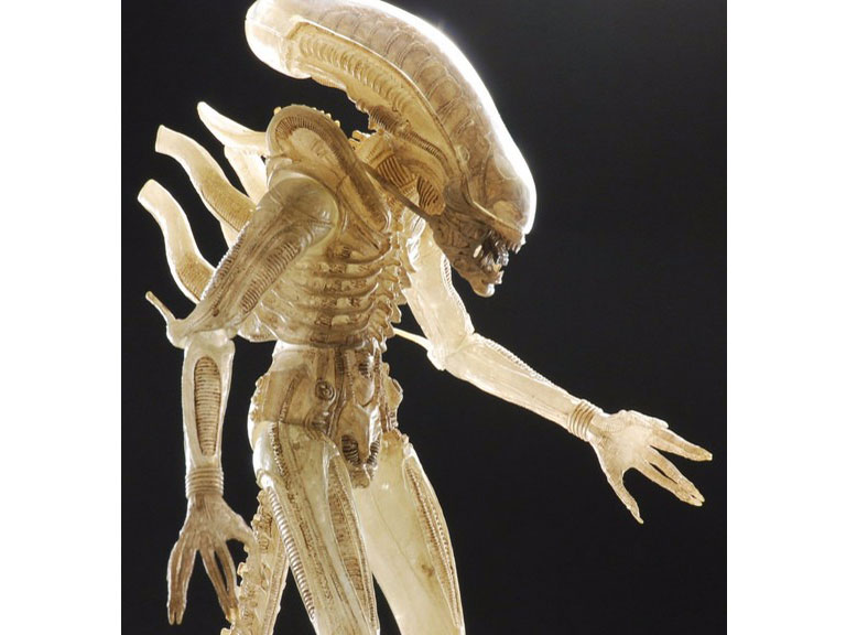 �G�C���A�� 7�C���`�A�N�V�����t�B�M���A �V���[�Y7 3��Z�b�g