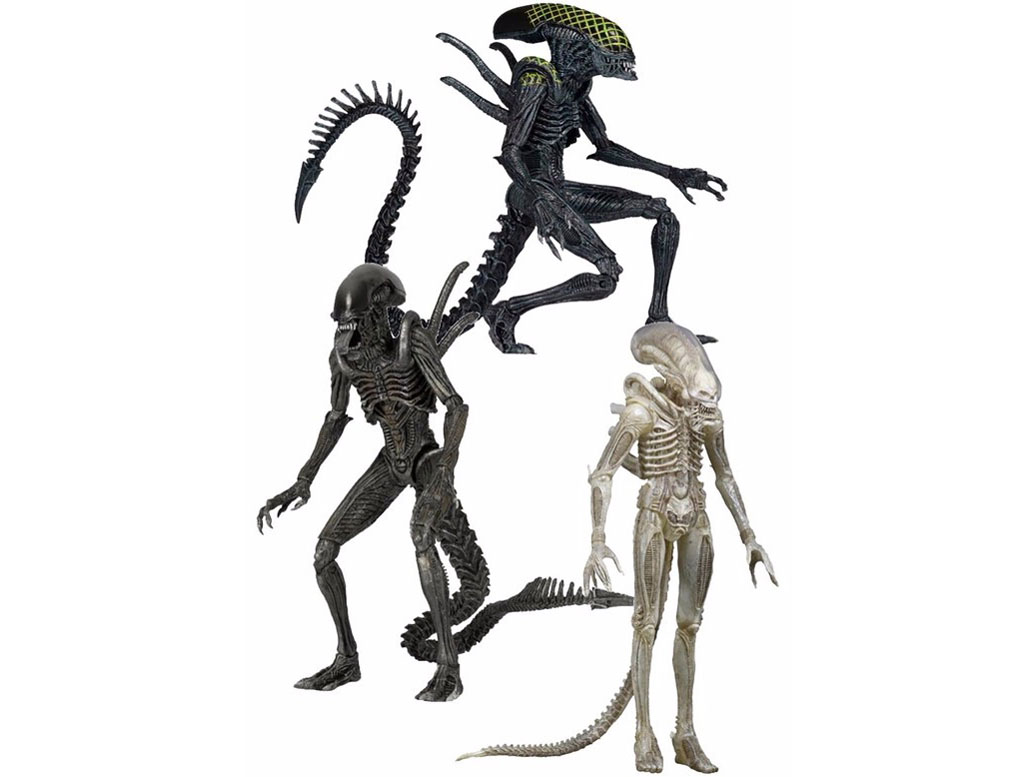 �G�C���A�� 7�C���`�A�N�V�����t�B�M���A �V���[�Y7 3��Z�b�g �̐��i�摜