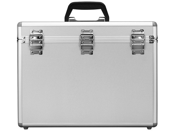 ALC-AC02-LL [�V���o�[]