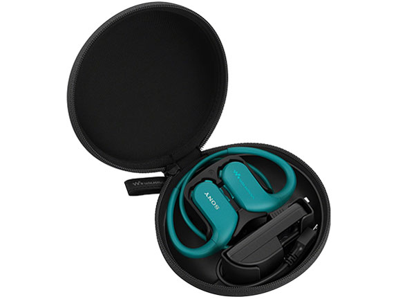 CKS-NWWS410 �̐��i�摜