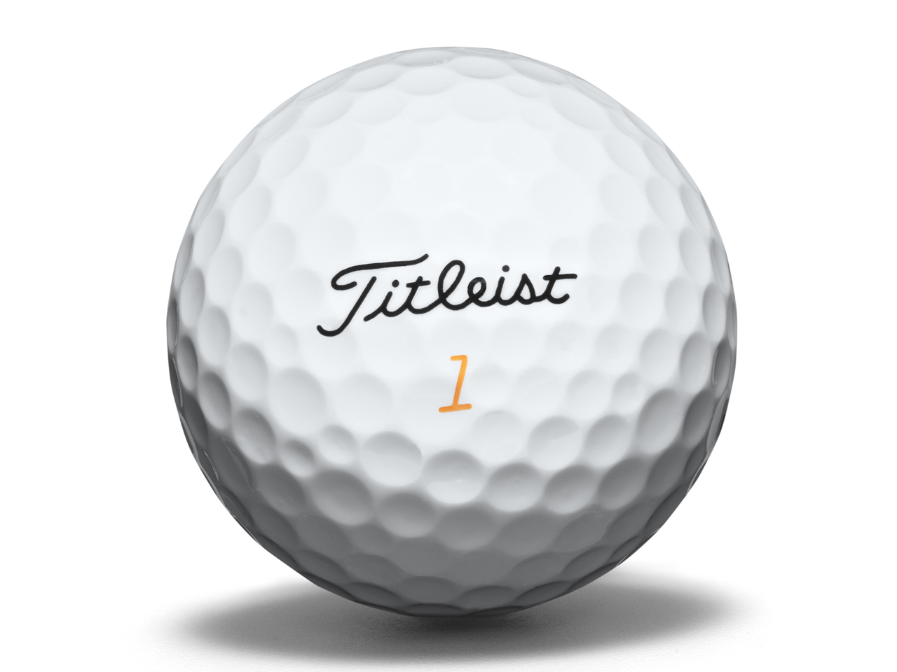 VELOCITY 2016�N���f�� [�z���C�g]