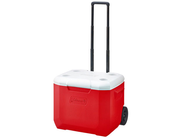 �z�C�[���N�[���[/60QT 2000027864 [���b�h/�z���C�g] �̐��i�摜