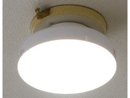 MLC-101N �̐��i�摜