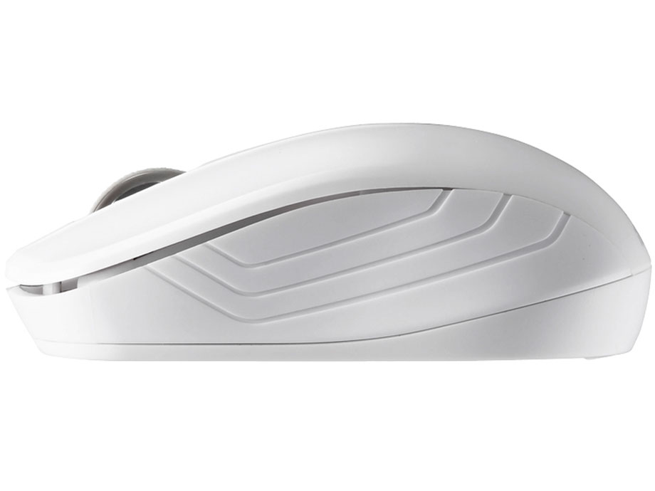 BSMRW21WH [�z���C�g]