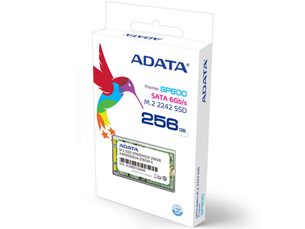 Premier SP600 ASP600NS34-256GM-C