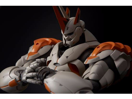 RIOBOT �u�u�L�E�u�����L �u�����L ���� ���S��Ver.