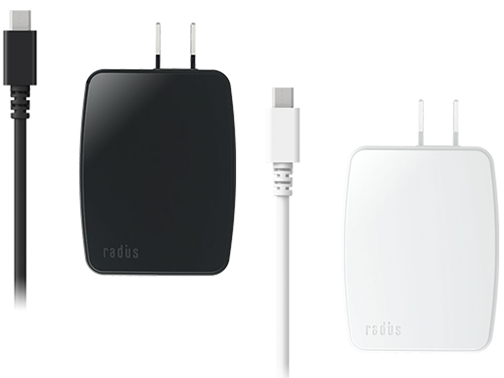 RK-ADA31W [�z���C�g]