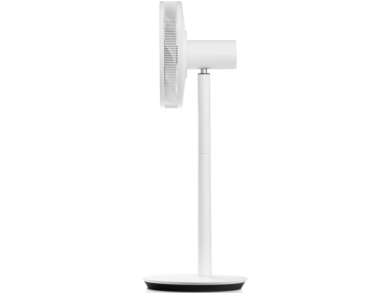 GreenFan Japan EGF-1560-WK [�z���C�gx�u���b�N]