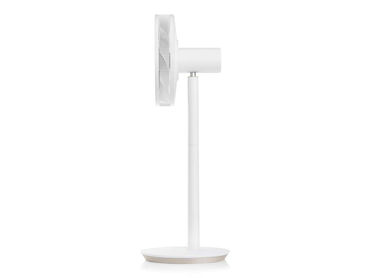 GreenFan Japan EGF-1560-WC [�z���C�gx�V�����p���S�[���h]