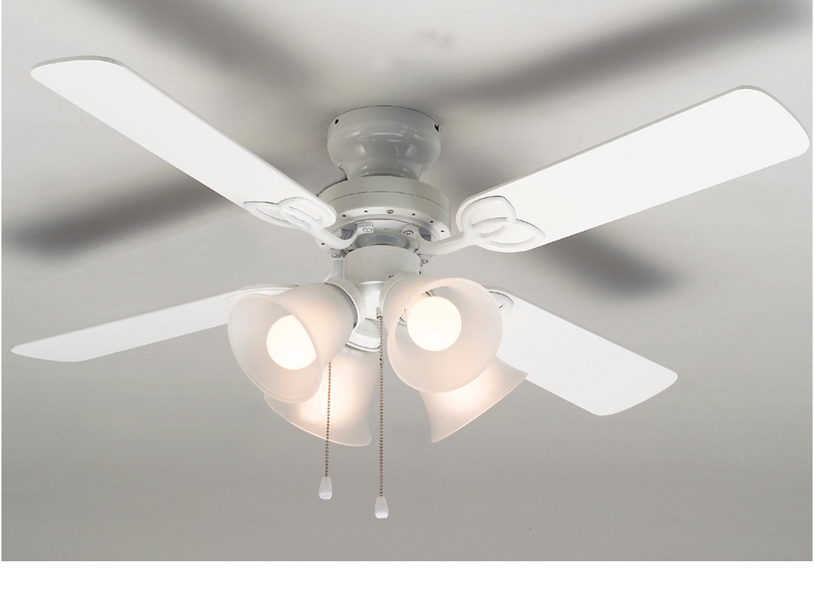 TKM-42WW4LKNDZ [�z���C�g] �̐��i�摜