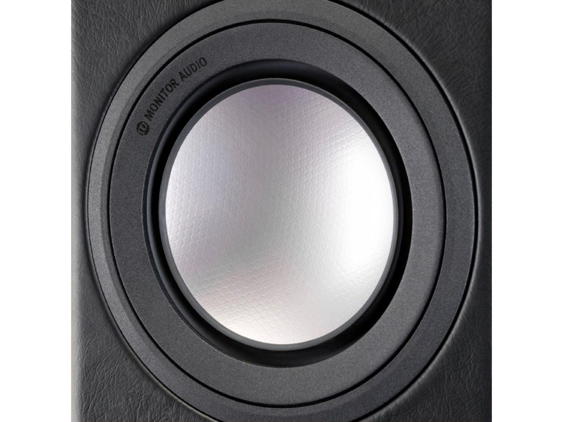 Platinum PL300 II-EB [NATURAL EBONY �y�A]