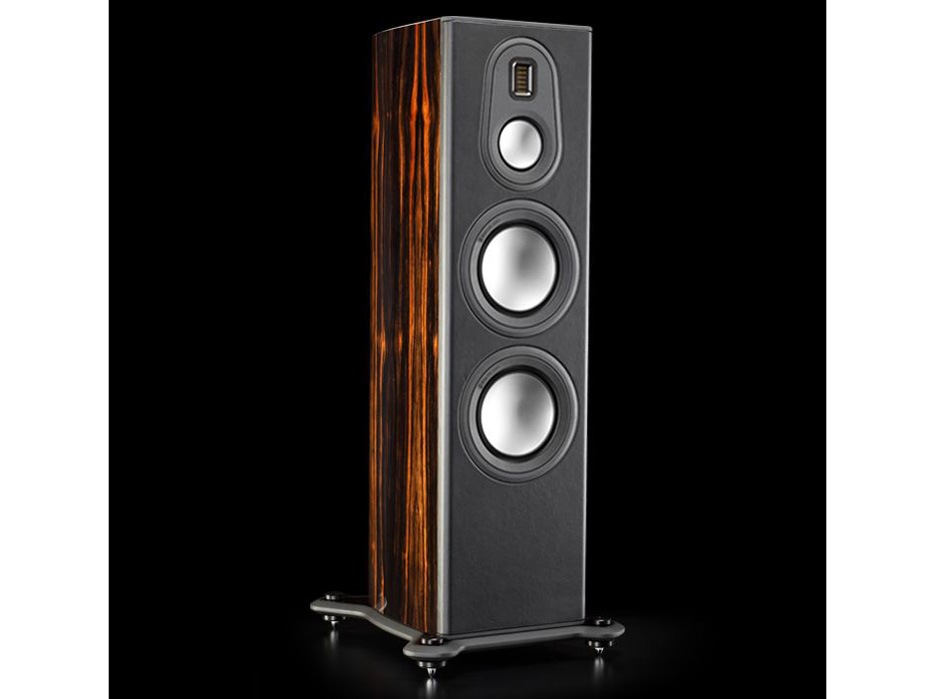 Platinum PL300 II-EB [NATURAL EBONY �y�A] �̐��i�摜