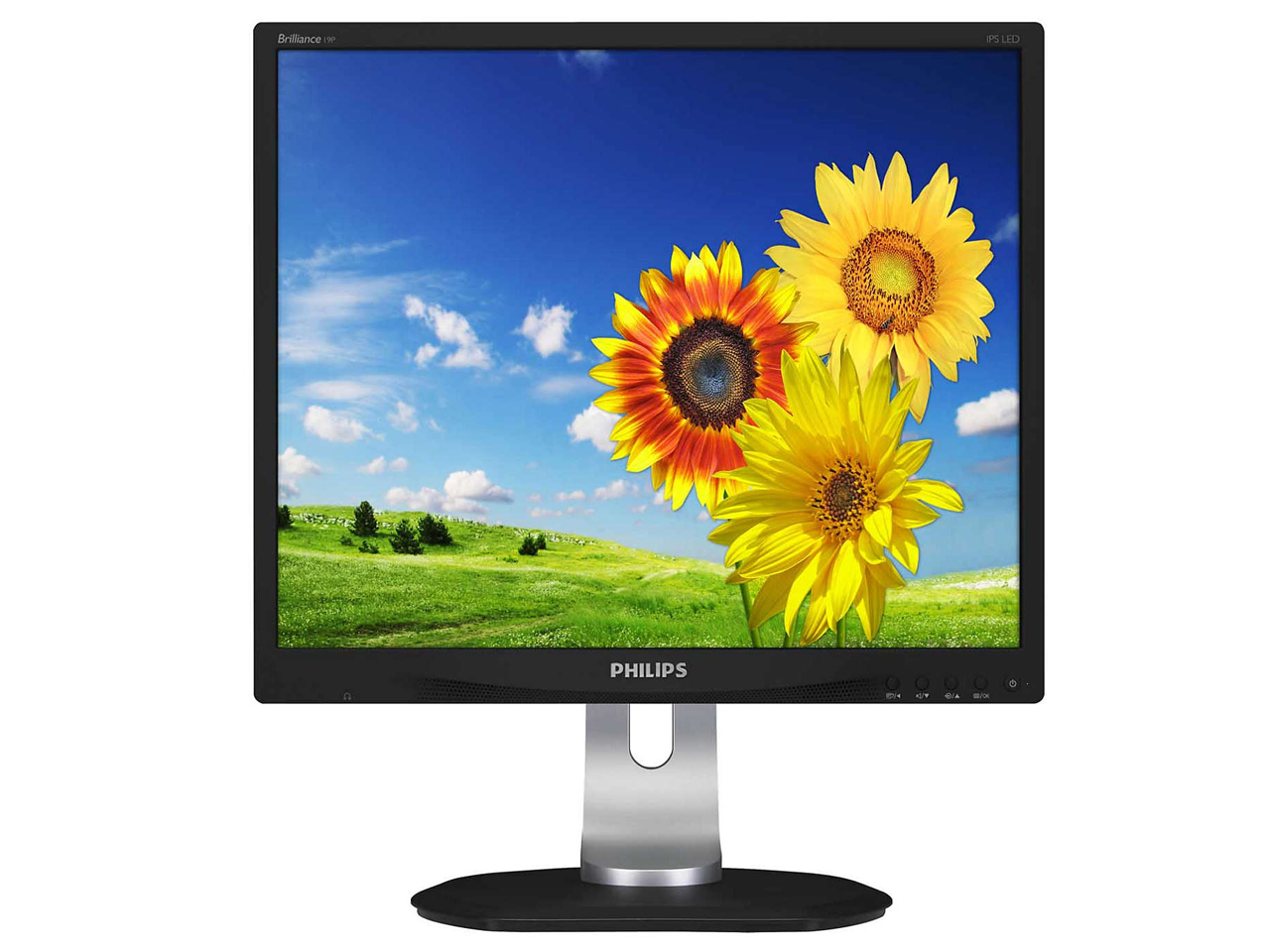 19P4QYEB/11 [19�C���` �u���b�N] �̐��i�摜