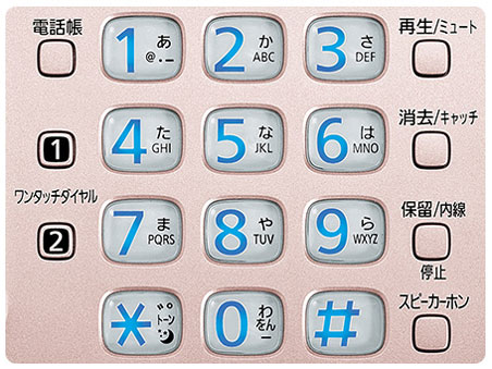 RU�ERU�ERU VE-GD55DL-N [�s���N�S�[���h]