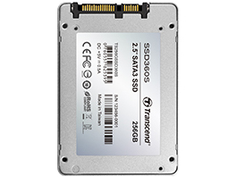 SSD360 TS256GSSD360S
