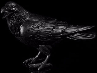 �A���t���b�h�E�q�b�`�R�b�N