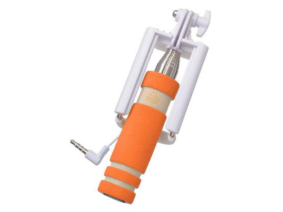 V-81354 [�I�����W] �̐��i�摜