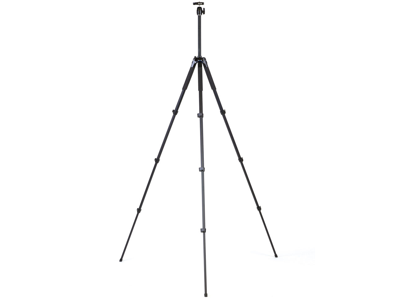 �G�A���[L100