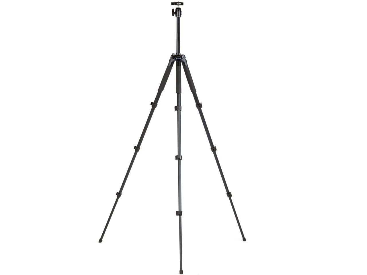 �G�A���[M100