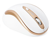 IM612GWH [�z���C�g]