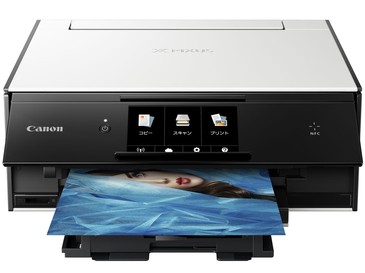 PIXUS TS9030 [�z���C�g]