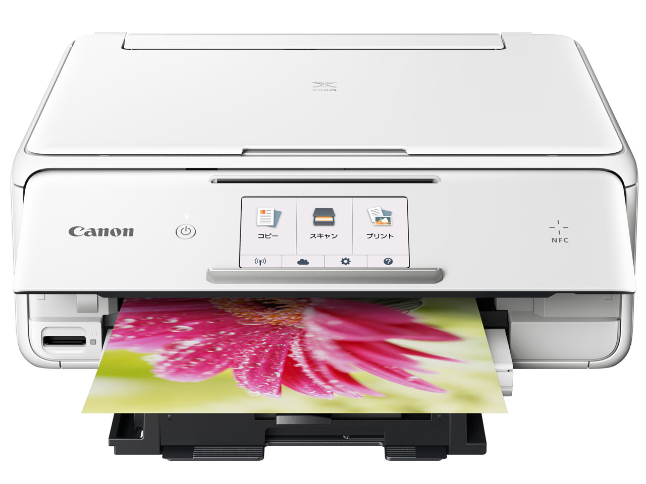 PIXUS TS8030 [�z���C�g]