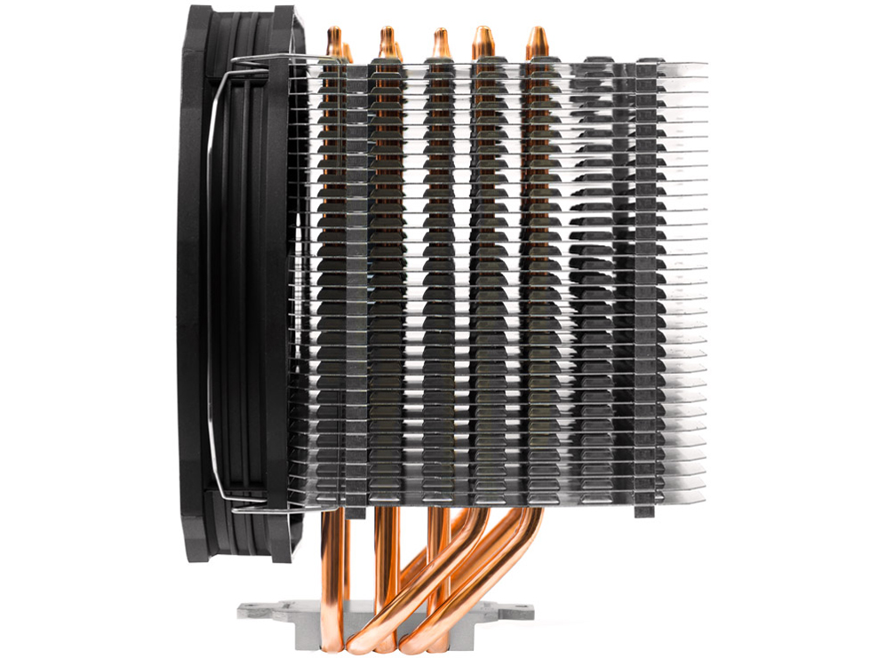 �w�{�� �E���ʁx Macho Direct �̐��i�摜