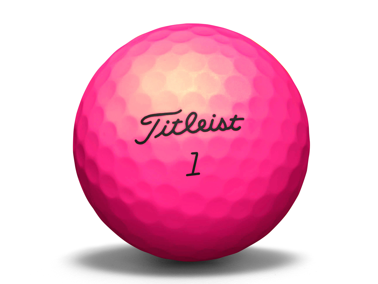 VELOCITY 2016�N���f�� [�s���N]