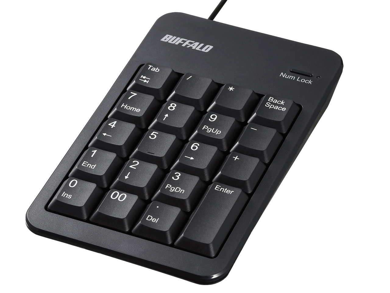 BSTK100BK [�u���b�N] �̐��i�摜