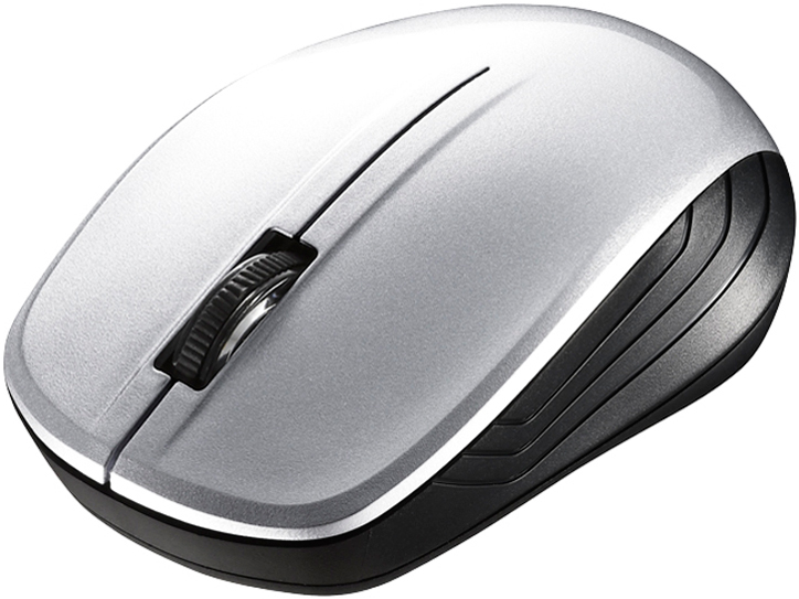 BSMBW100SV [�V���o�[]