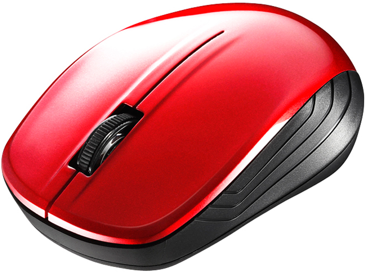 BSMBW100RD [���b�h]