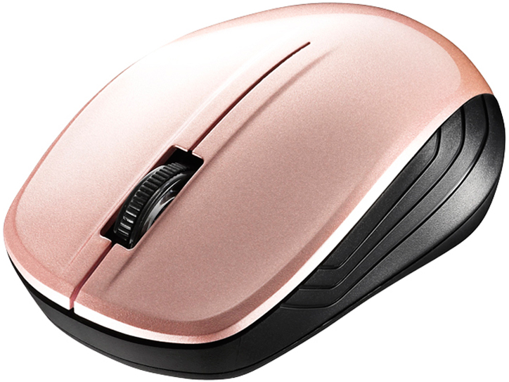 BSMBW100BP [�x�[�W���s���N]