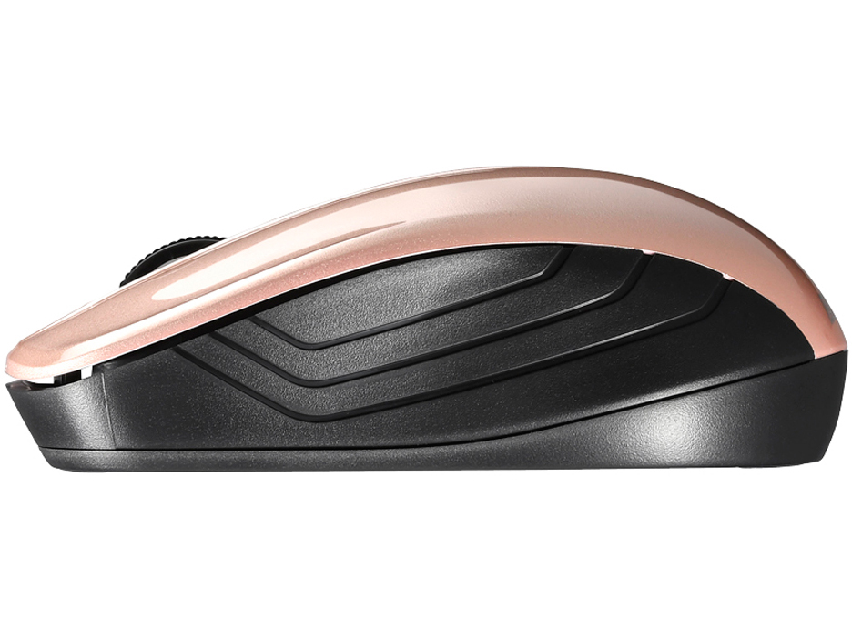 BSMBW100BP [�x�[�W���s���N]