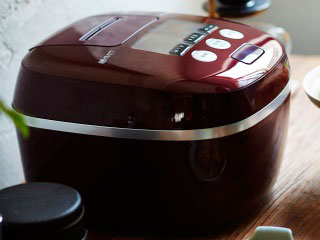 �������� JPC-A100-RB [�o�[�K���f�B]